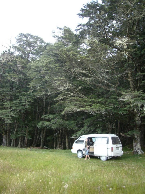 The edge of the forest